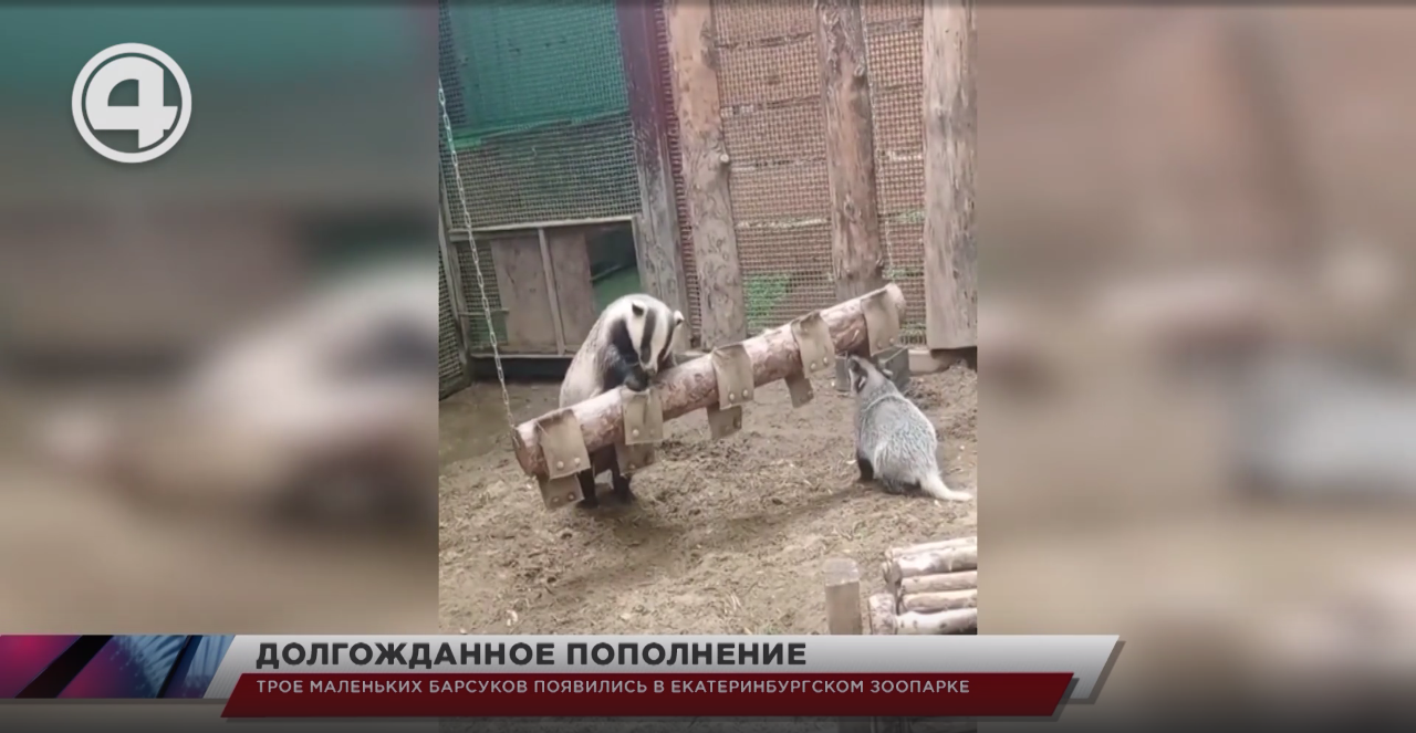 Зоопарк зимой в екатеринбурге